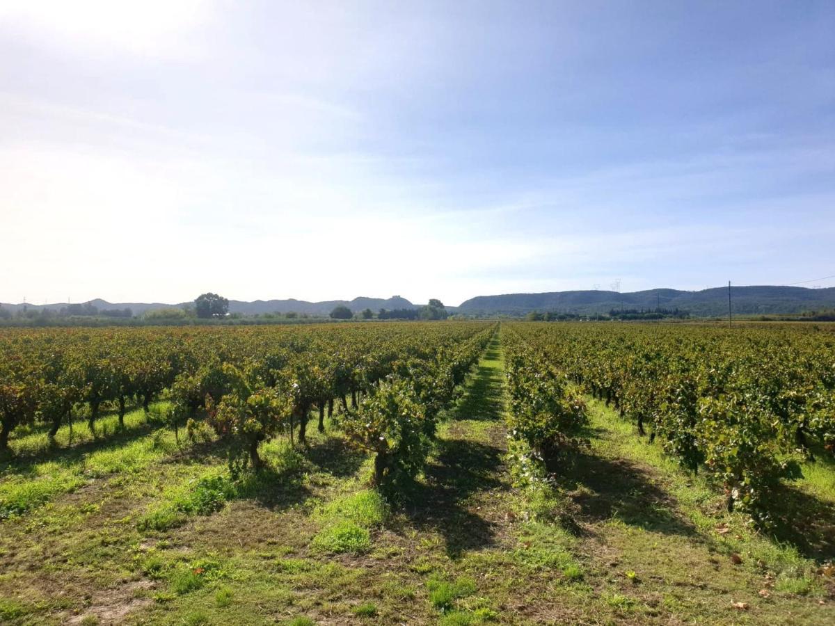 Domaine De Sevanes Saint-Paul-les-Fonts Eksteriør bilde