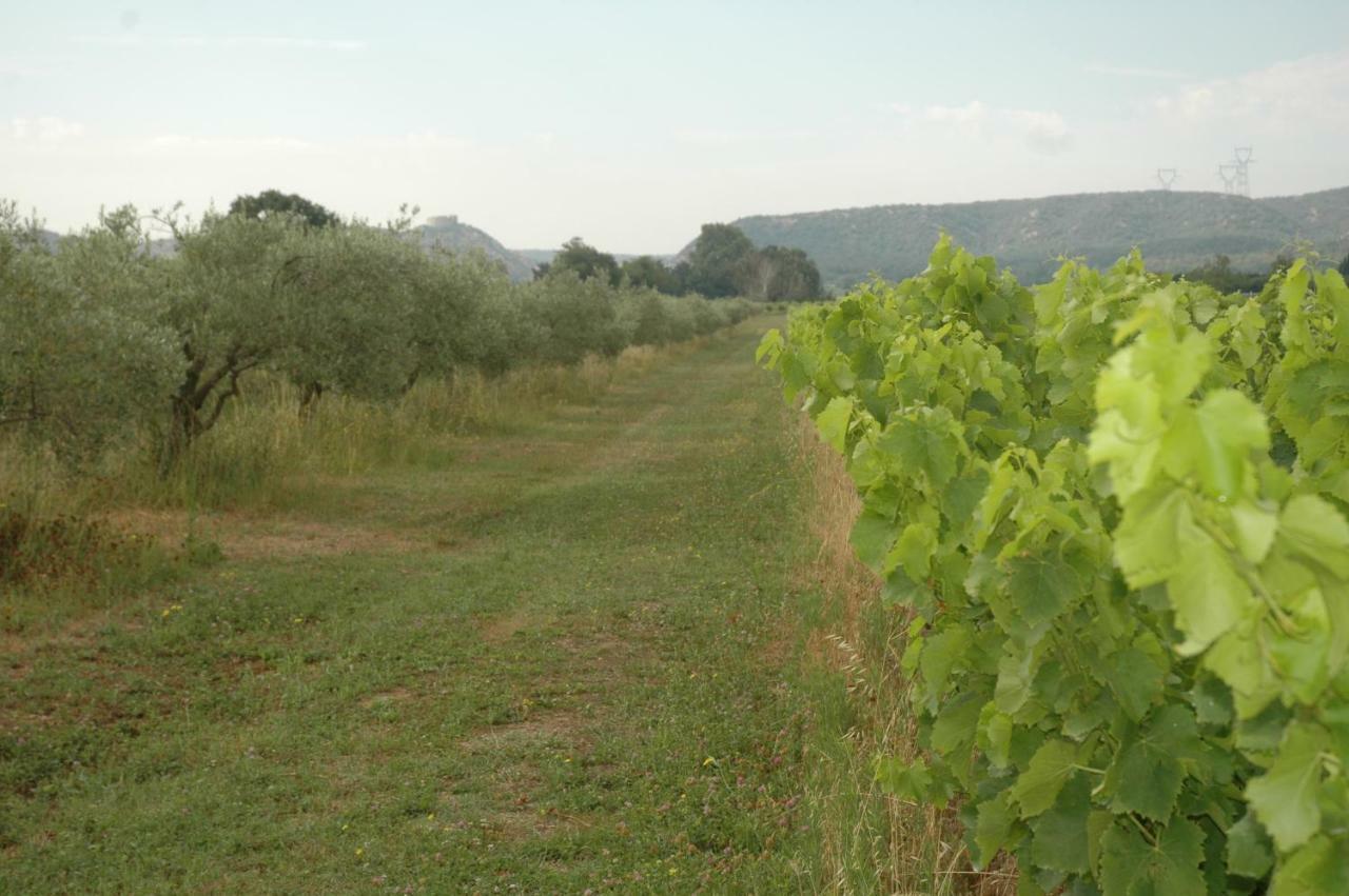 Domaine De Sevanes Saint-Paul-les-Fonts Eksteriør bilde
